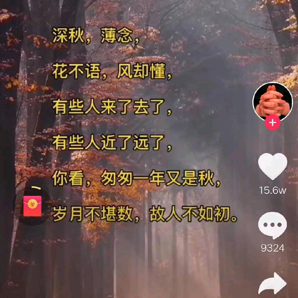 😍  小 富商