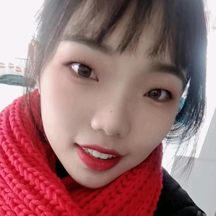 屏山虎头蜂—小何