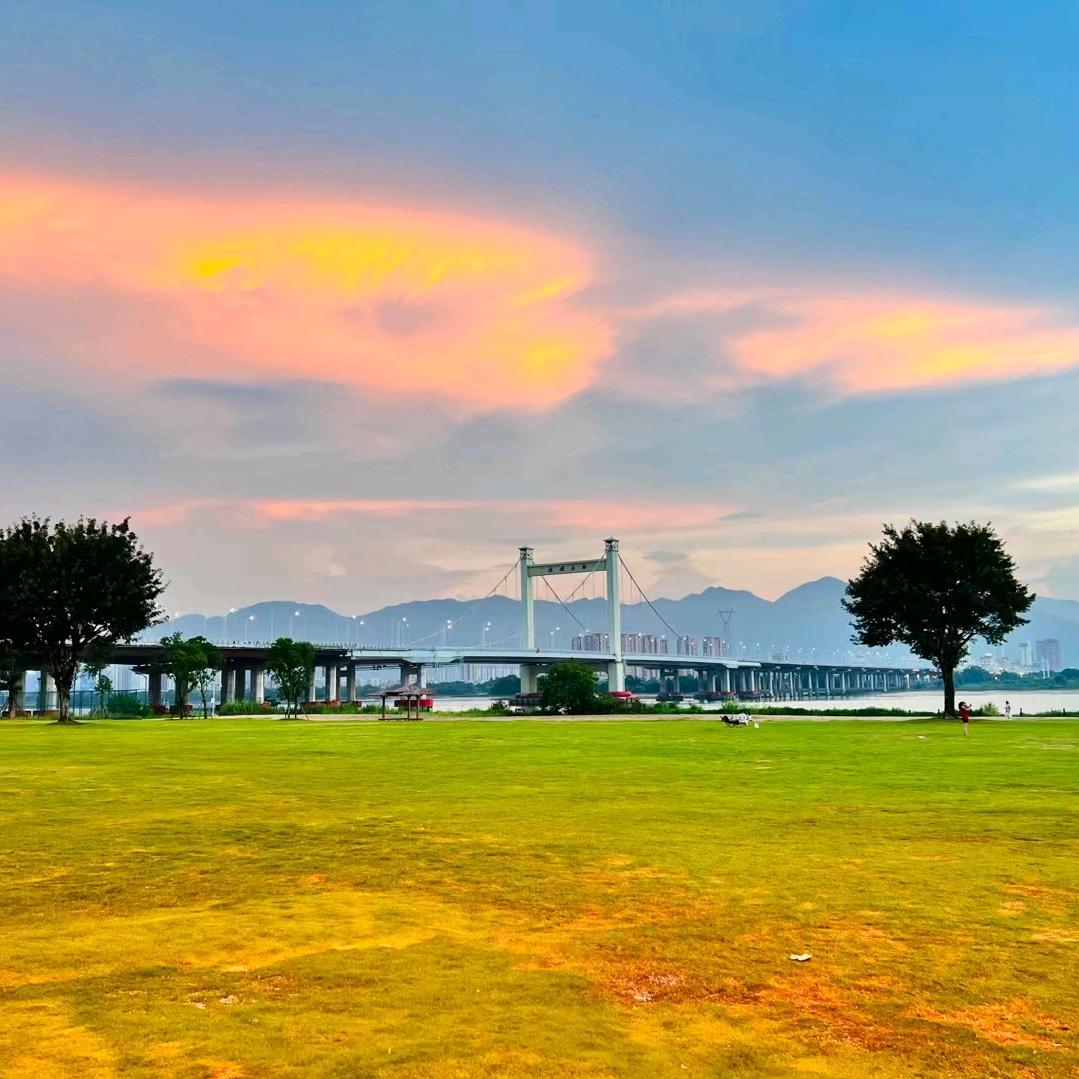左手思念右手浮华