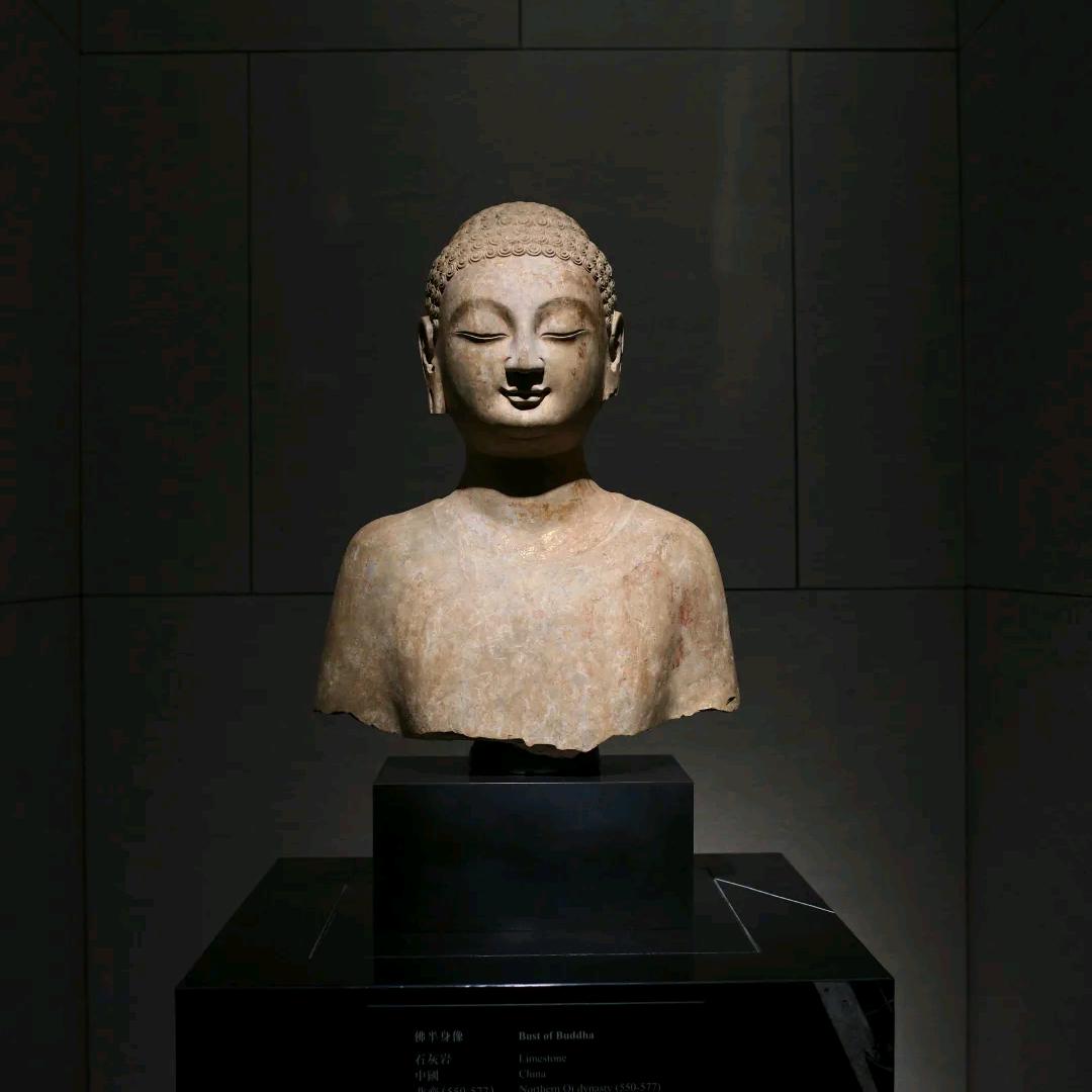 🍀天地造物🍀