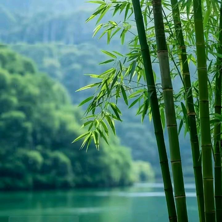 伴随黎明天破晓