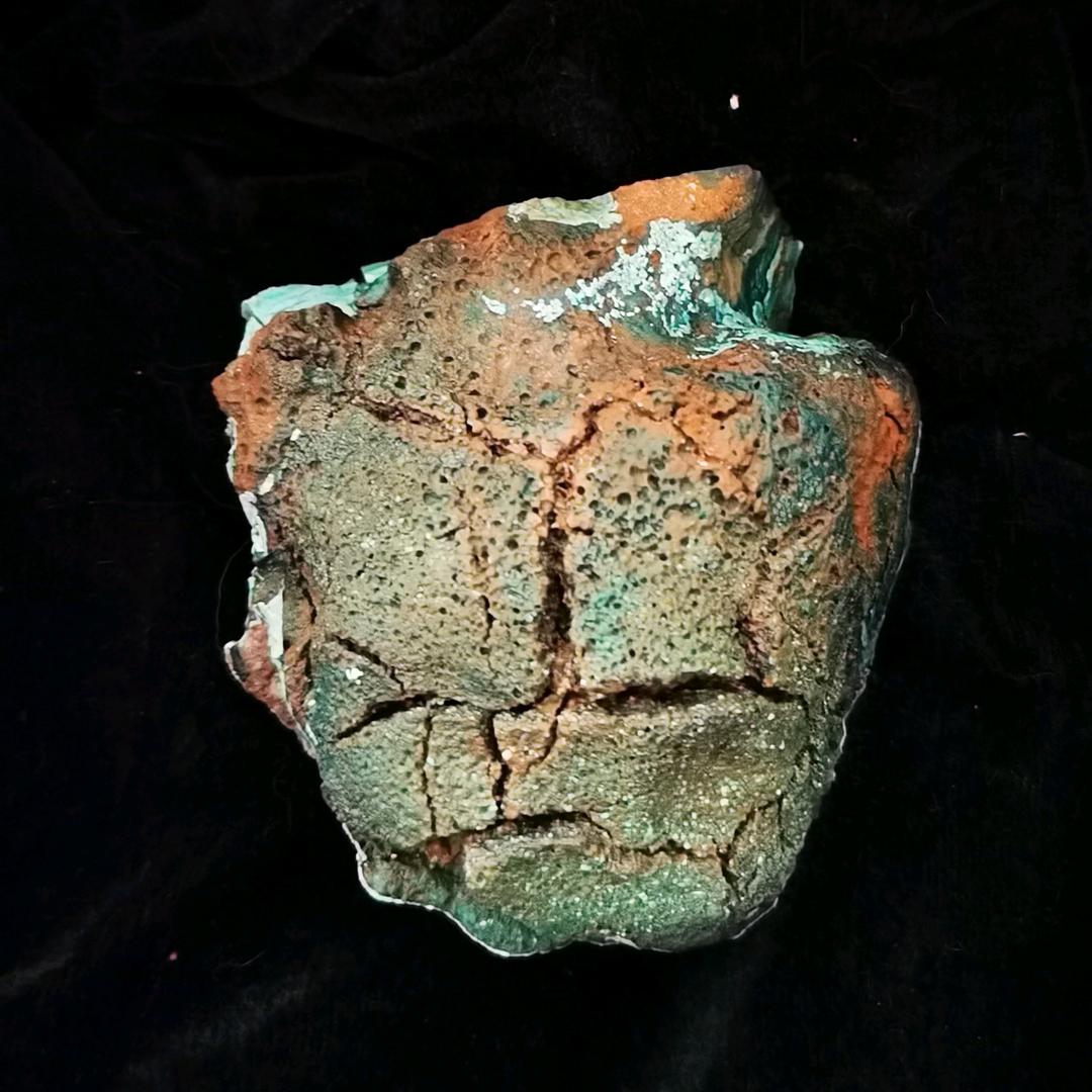 (｡･ω･｡)ﾉ♡@@@(｡･ω･｡)ﾉ