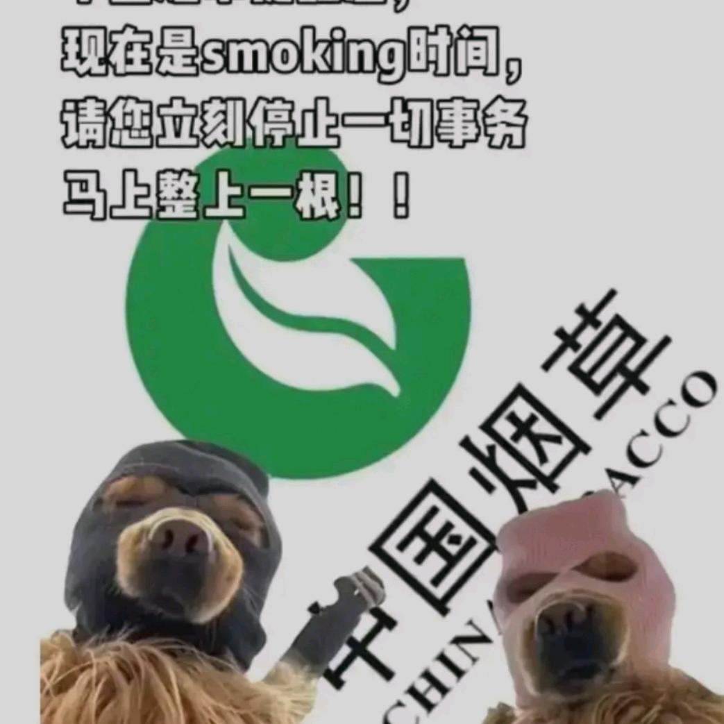 东东东东东东东东东东东东东