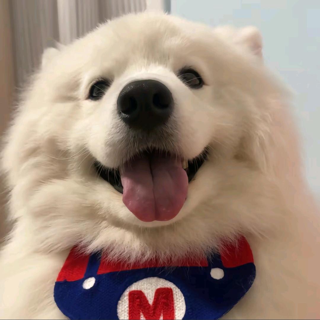 每天睡醒说胡话