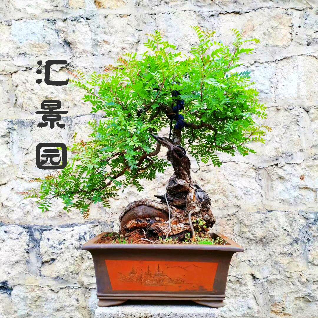汇景园