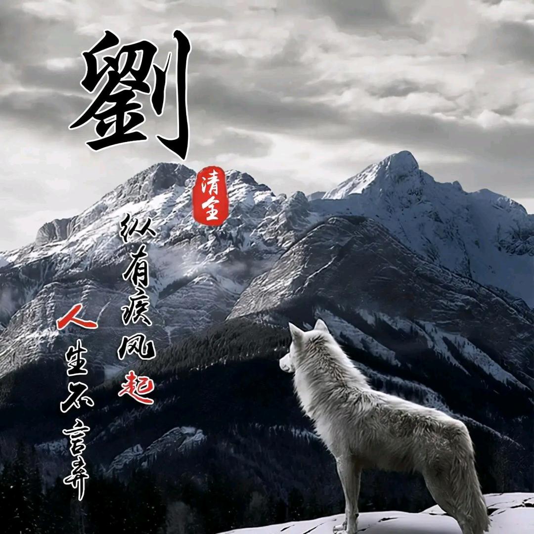 涩会我龙哥
