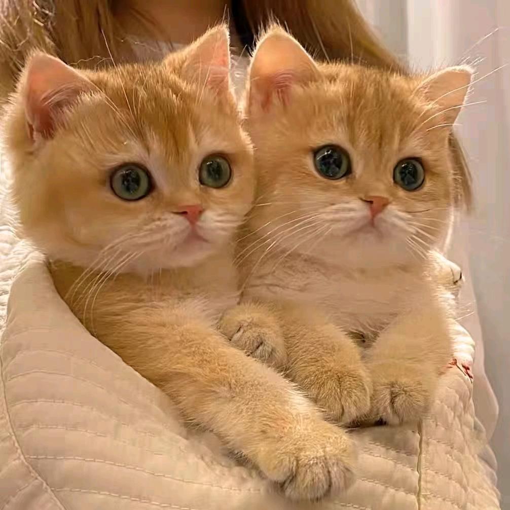 随遇而安🙃👊