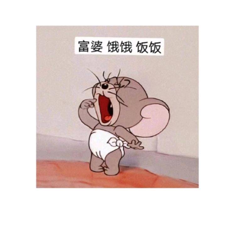 懒虫家的猫📷（接约拍）