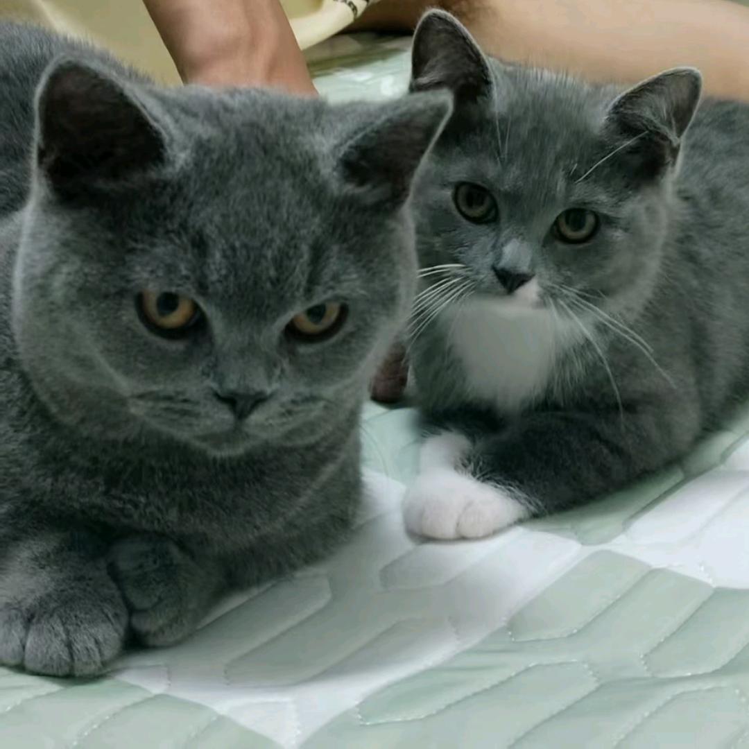 涵江买房找小夏