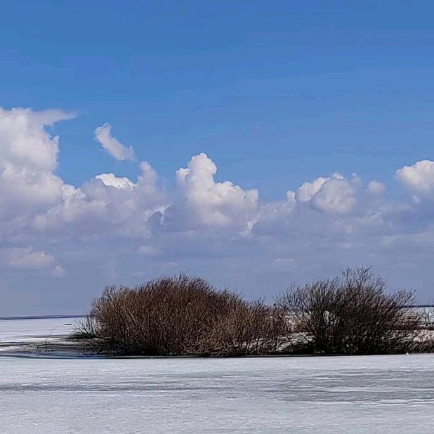 没事儿就溜达 [null]