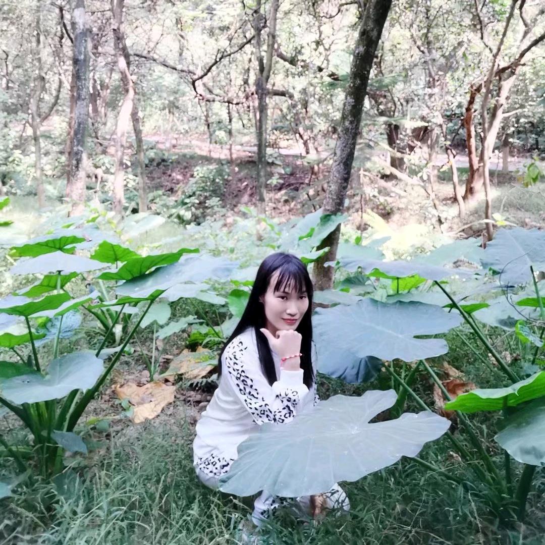 🌿一棵有伤疤的幸运草🌿💰🏡🚗