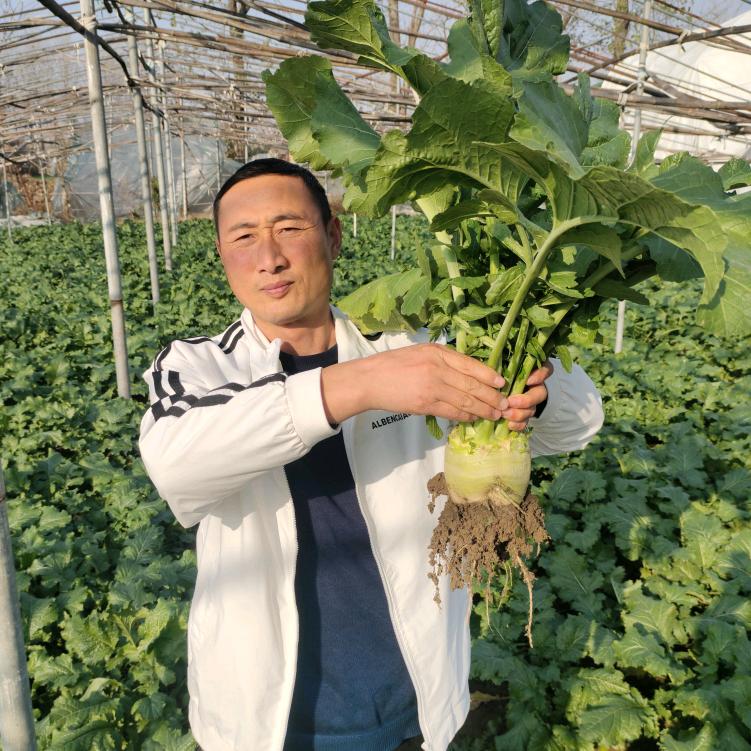 平舆县仁伟农副产品有限公司