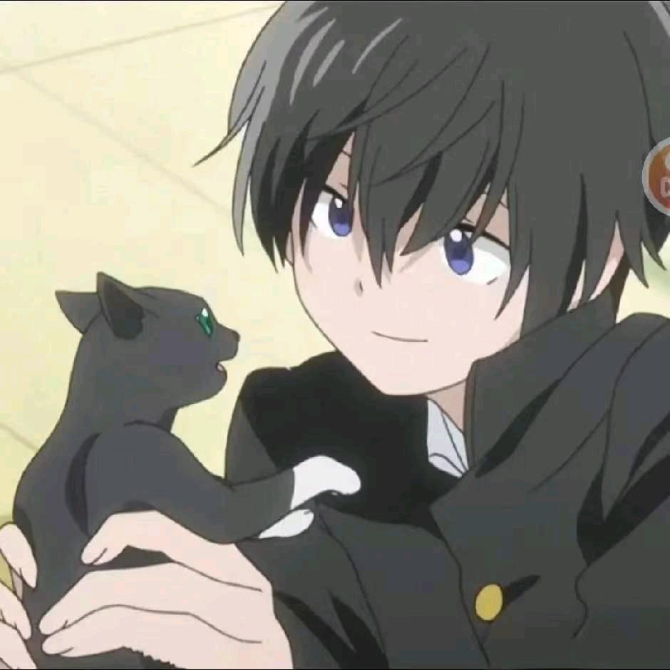 薯条猪猪