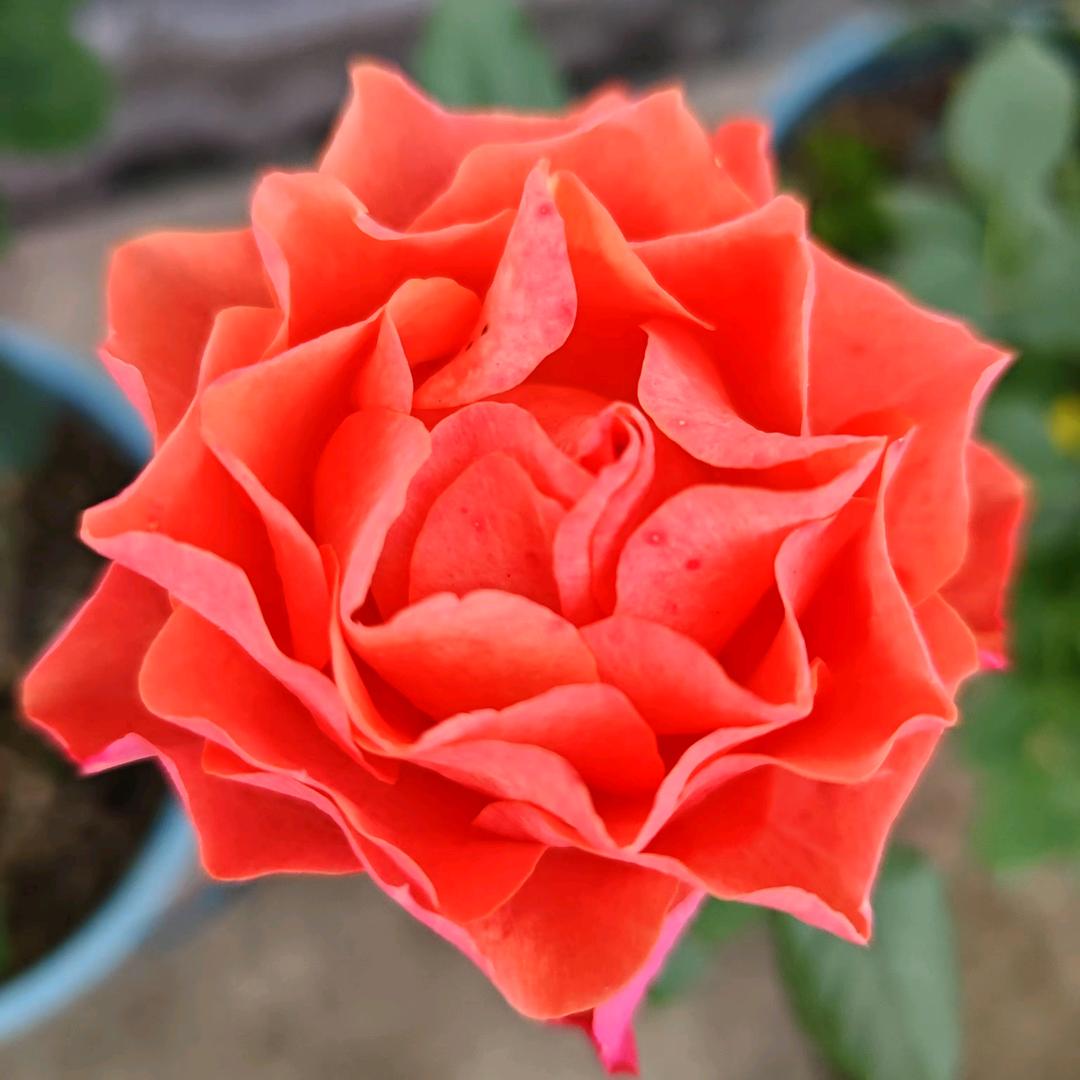 💖✨雨梦🍁⁷⁰⁷