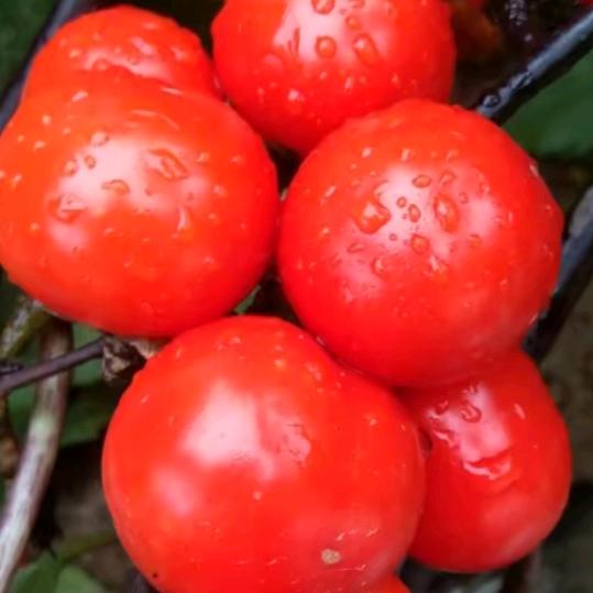 家和万事兴，幸福一家人