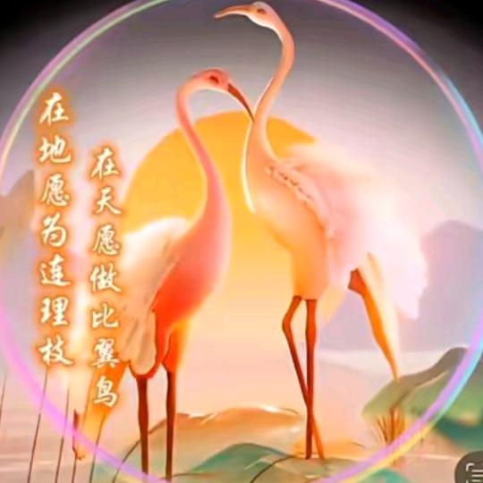 💞ঞᩚ᭄花开ꕥ້໌ᮨ蝶💕相护ℒᎭℯ