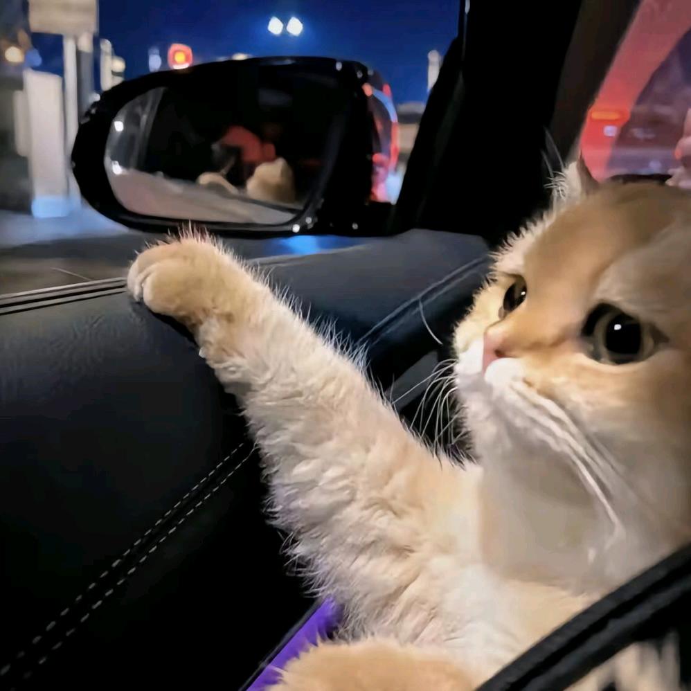 快请两
