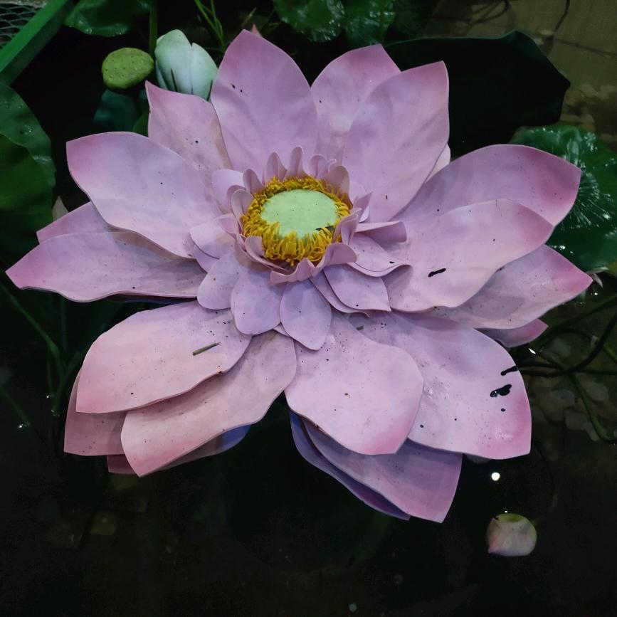 吉祥如意   ✨（手工折纸）