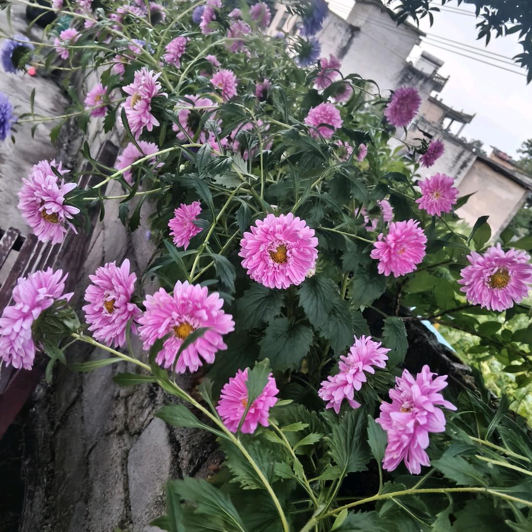 如果……现在……以后……