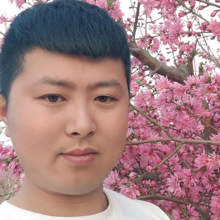 常年拉小公牛