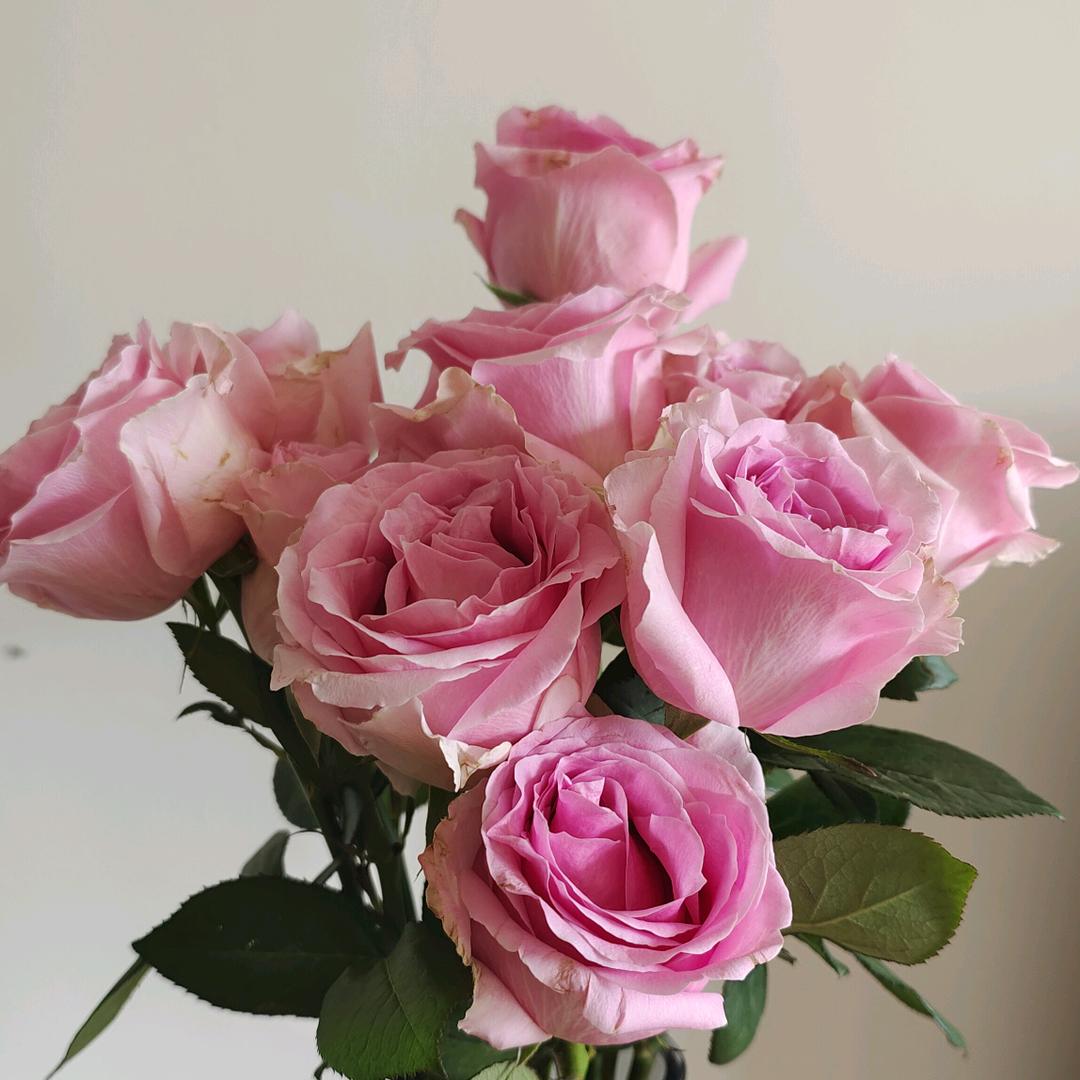 因为我是农村的