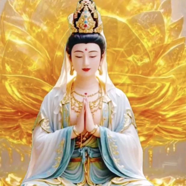 宁静致远每日一善