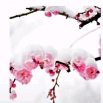 小太阳💃💃