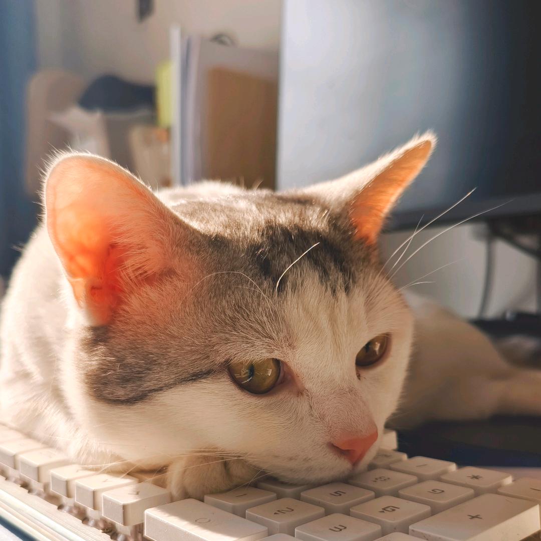 爱追梦