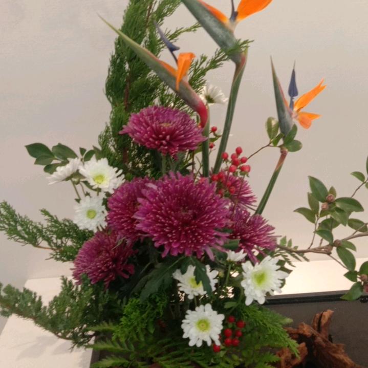 开心过好每一天