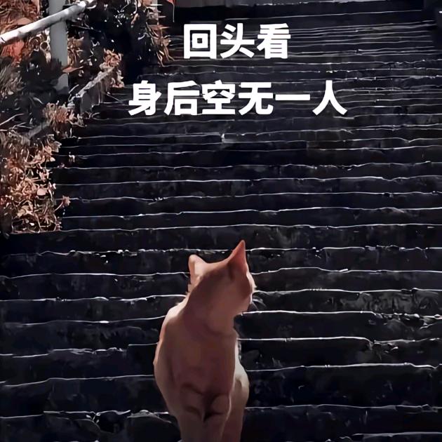 人间,清醒
