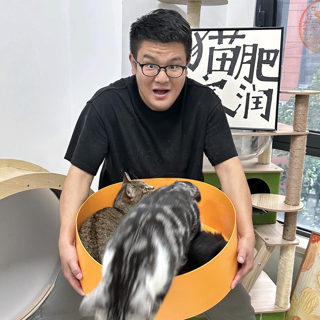 老王的一群猫