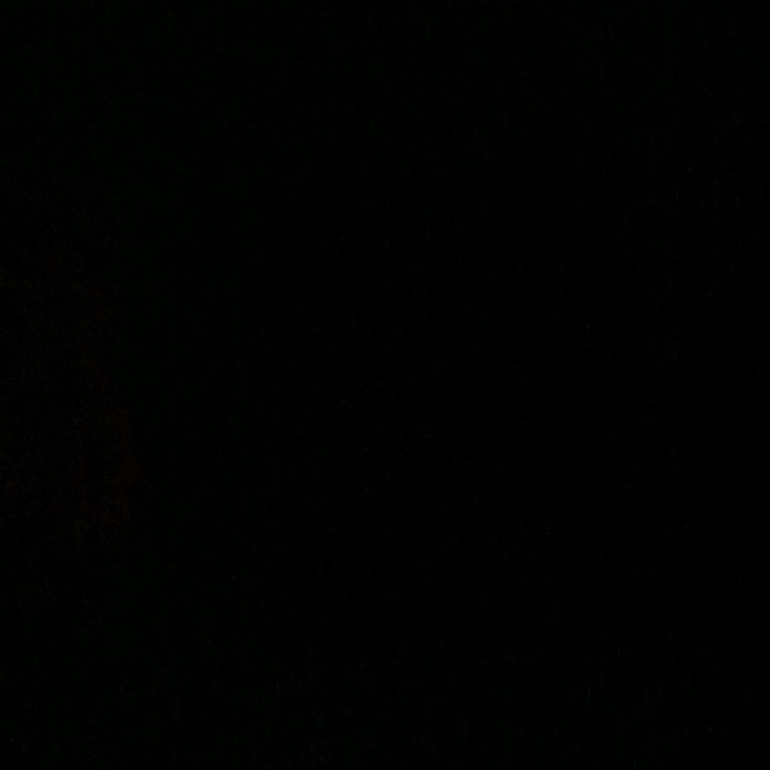 任.