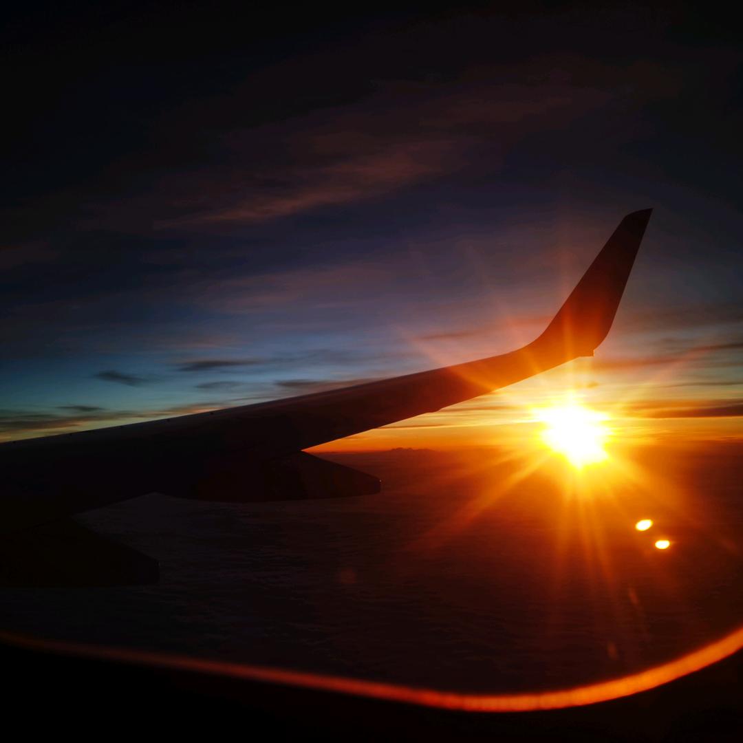 只会吃叉烧的小菜鸡呀