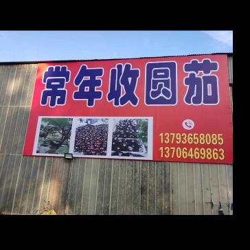 寿光市梁荣新圆茄市场