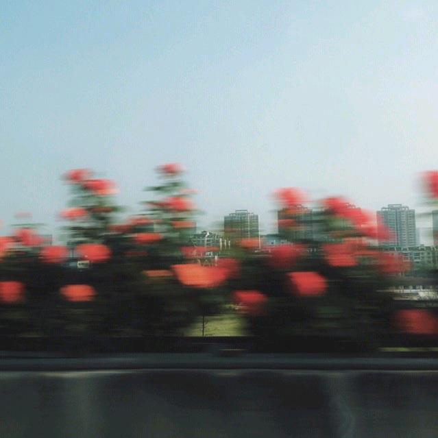 “仔细”不弹琴
