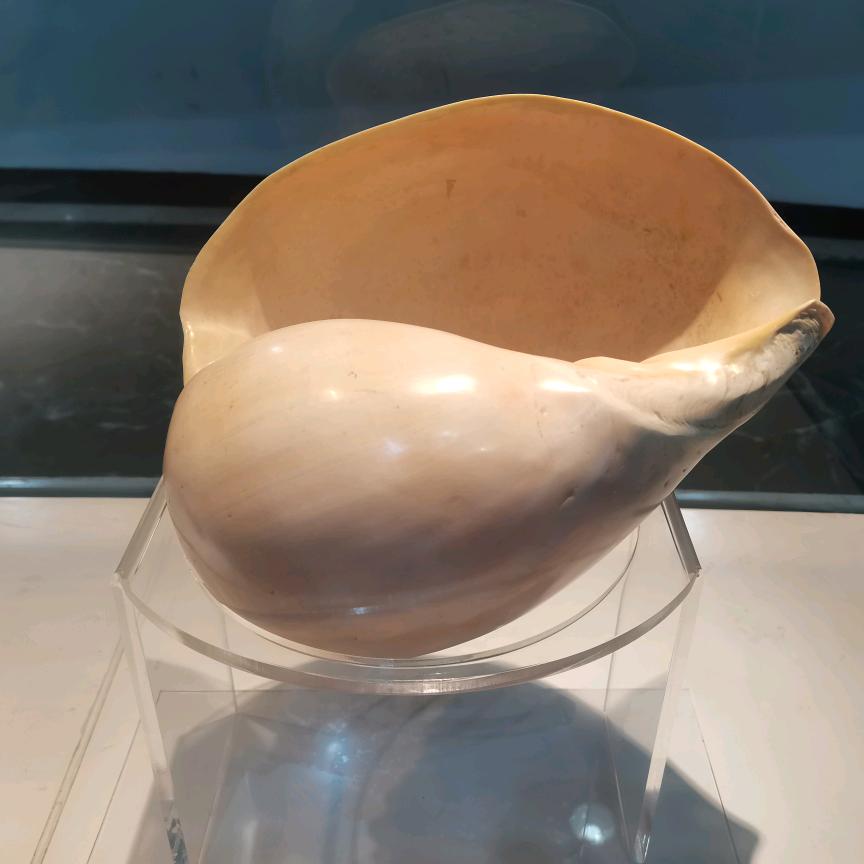 星星点灯 해피haepi해피