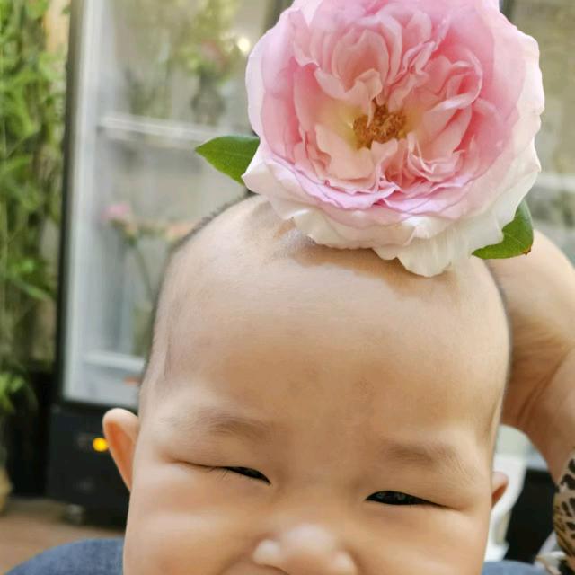 奶茶行不行(营业12点)