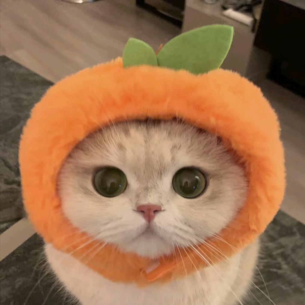 一个橙子☃️