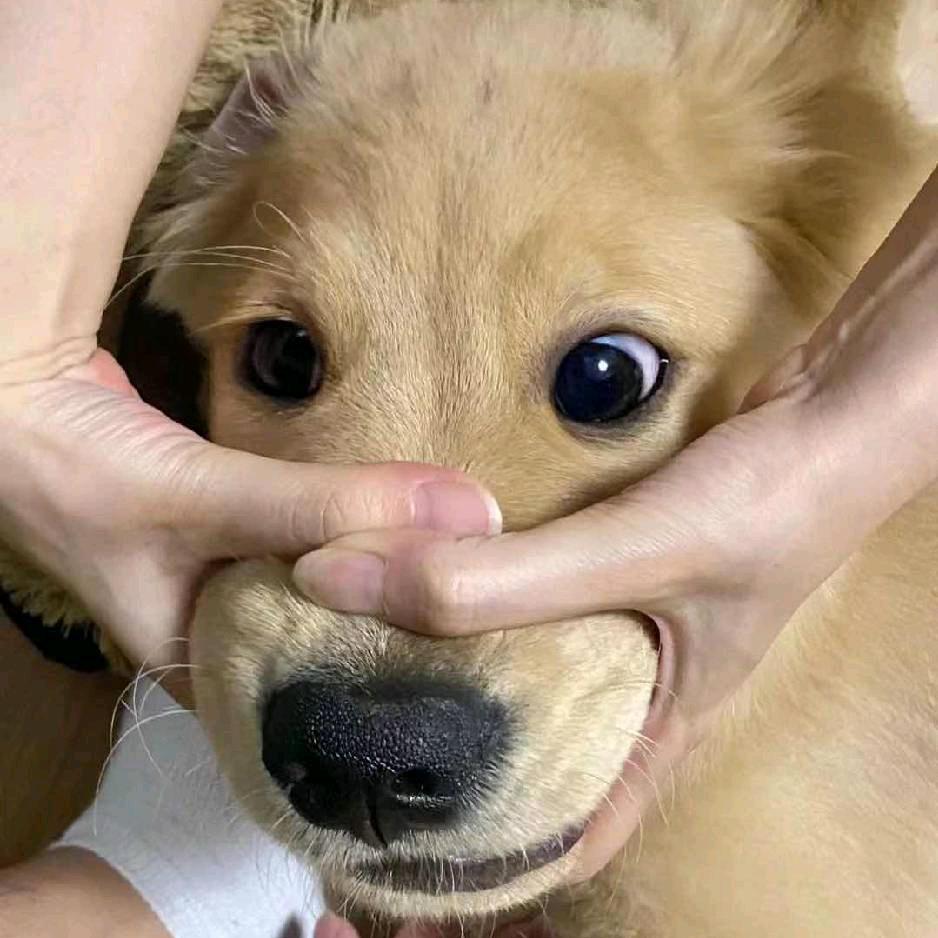 是这个远.