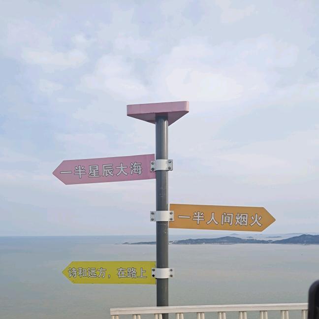 愿得一人心
