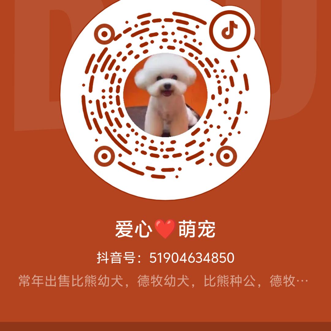 爱心❤️萌宠