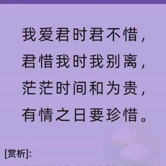话唠小透明