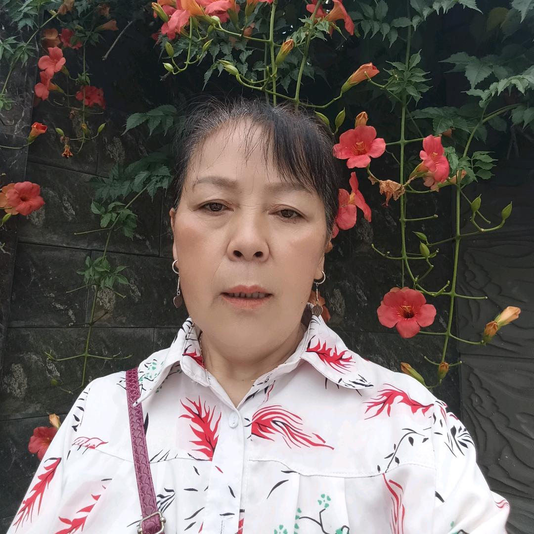 用户2539265761157