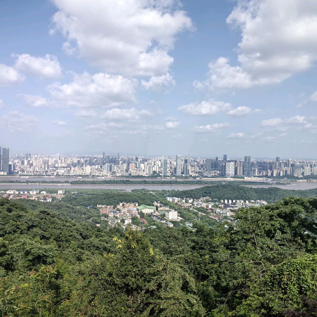 想个嘚头像