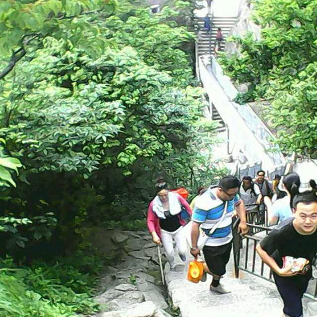遗失的美好🚶