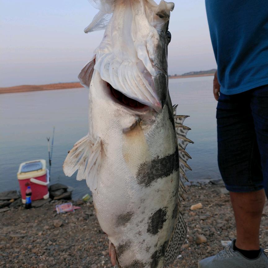 爱钓鱼🎣的姥姥