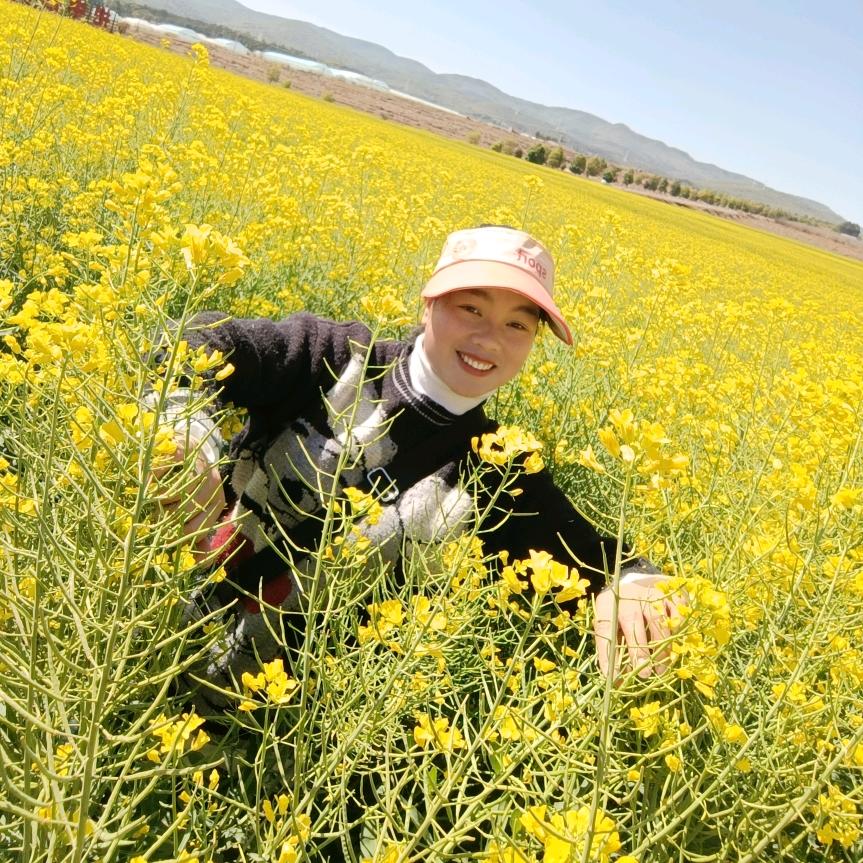 楚雄州，德力西电气、大艺工具总代理