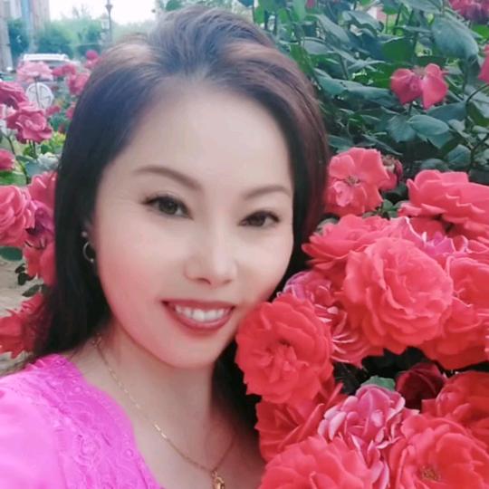 🌻梅梅🌻平安顺遂🙏年年好运😍🐉