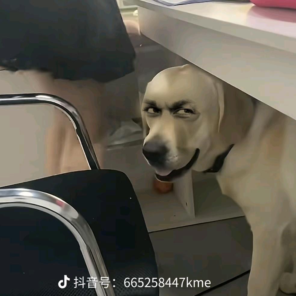 浪漫且无敌