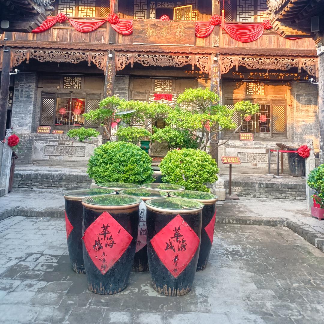 🌹快乐白分白🌹